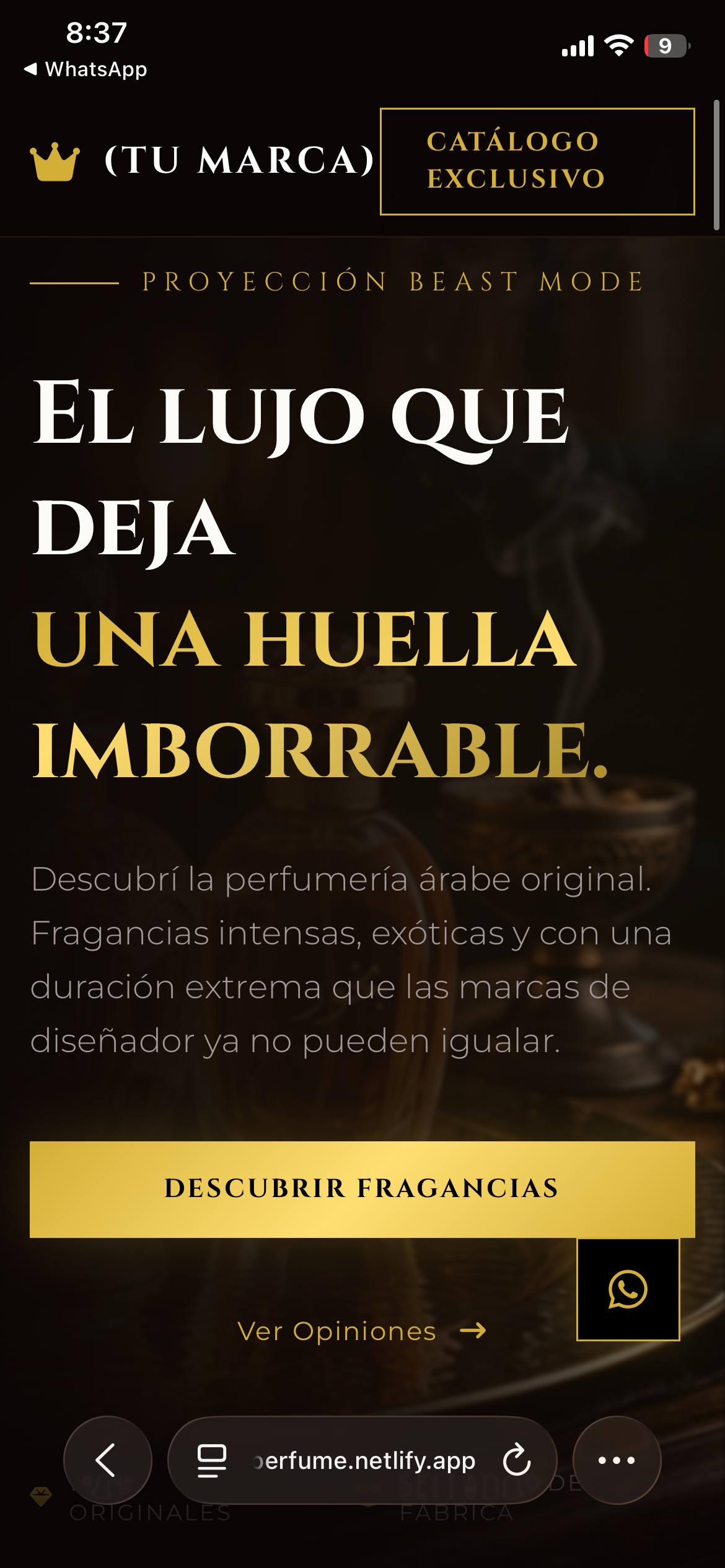 Testimonio 11