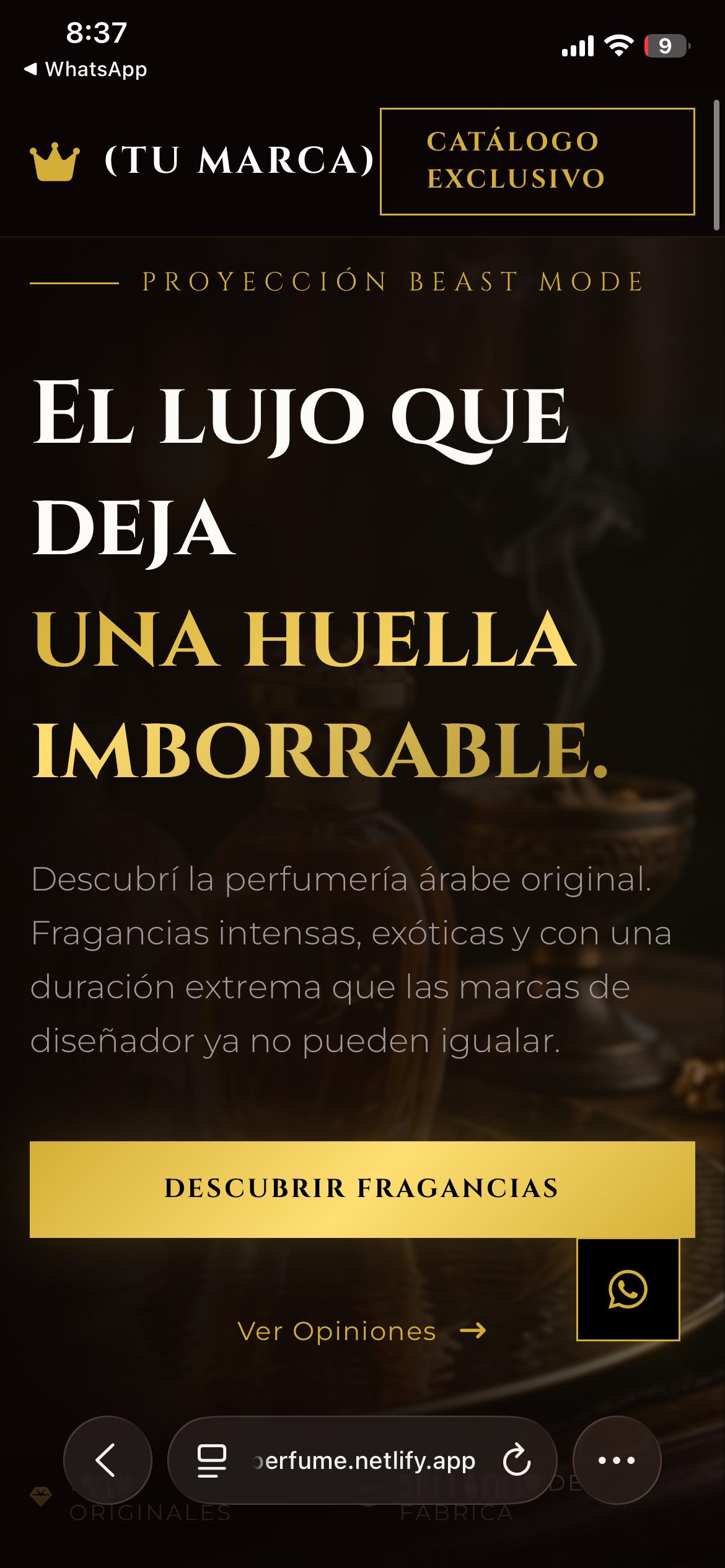 Testimonio 11