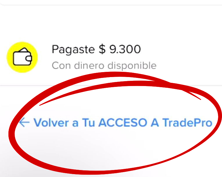 Instrucción de retorno